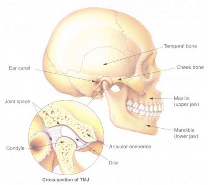 Articulação temporo-mandibular pode causar dor de ouvido e zumbido 