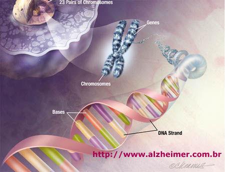 Doença de Alzheimer (DA) e a genética